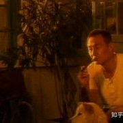 电视剧《篱笆女人与狗》经典女人命运三部曲之一