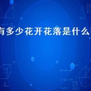 有多少花开花落是什么歌（歌词里面有花开花落是什么歌）