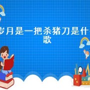 岁月是一把杀猪刀是什么歌