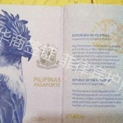 在菲律宾出生的人，在进入了别国国籍之后能不能再进入菲律宾国籍？