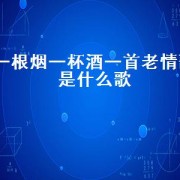 一根烟一杯酒一首老情歌是什么歌