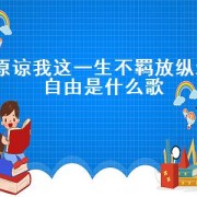 原谅我这一生不羁放纵爱自由是什么歌