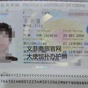 菲律宾补办护照多少天（需要什么材料加急）