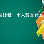 别让我一个人醉是什么歌（别让我一个人醉是啥歌里的）