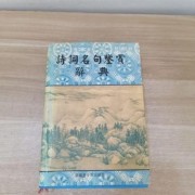 叶诗词鉴赏（叶诗文无缘决赛）