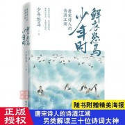 菩萨蛮旌旗依旧长亭路