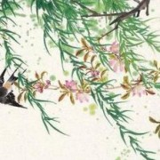 独立寒江诗词作者（独立寒江·曲无忆）