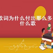歌词为什么付出那么多是什么歌