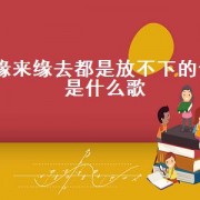 缘来缘去都是放不下的你是什么歌