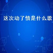 这次动了情是什么歌