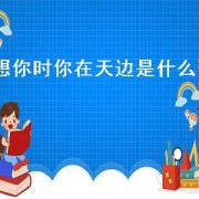 想你时你在天边是什么歌