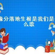 缘分落地生根是我们是什么歌（缘分落笔生根是我们）