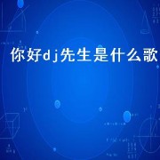 你好dj先生是什么歌（你好dj舞曲原唱）