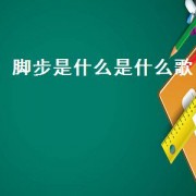 脚步是什么是什么歌（歌词里有脚步是什么歌抖音）