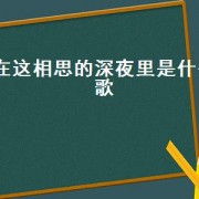 在这相思的深夜里是什么歌