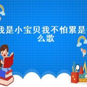 我是小宝贝我不怕累是什么歌（我是小宝贝从不怕累歌词）