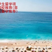 菲律宾大学生留学项目和留学院校推荐(菲律宾大学生留学推荐)