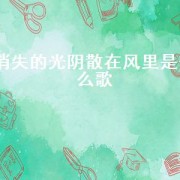 消失的光阴散在风里是什么歌
