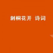 刺桐花开 诗词（刺桐花开诗词）