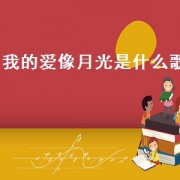 我的爱像月光是什么歌
