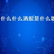 什么什么洒脱是什么歌