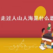 走过人山人海是什么歌（我跨过人山人海是什么歌）