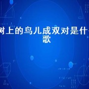 树上的鸟儿成双对是什么歌