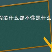 假装什么都不懂是什么歌