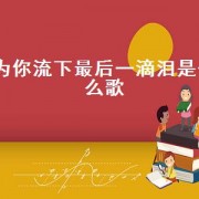 为你流下最后一滴泪是什么歌