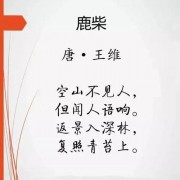 凭君诗词