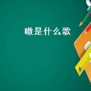 嗷是什么歌