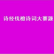 诗经伐檀诗词大赛题