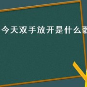 今天双手放开是什么歌（跟着我的节奏放开你的双手是啥歌）