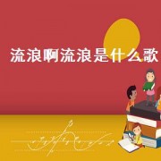 流浪啊流浪是什么歌（流浪啊流浪原唱完整版歌词）