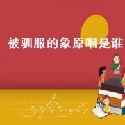 被驯服的象原唱是谁（被驯服的象原曲是什么歌）