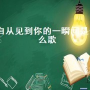 自从见到你的一瞬间是什么歌