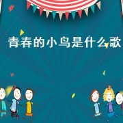 青春的小鸟是什么歌