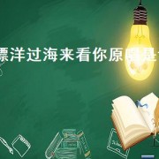 漂洋过海来看你原唱是谁（漂洋过海来看你的真实故事）