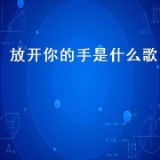 放开你的手是什么歌