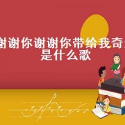 谢谢你谢谢你带给我奇遇是什么歌（谢谢你为我作伴歌词）