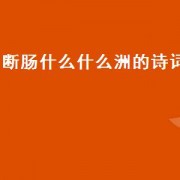 断肠什么什么洲的诗词（肠断白苹洲的诗词）