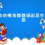 你的嘴角微微扬起是什么歌