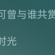 有没有什么小众但很好听的歌推荐？