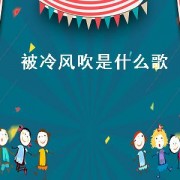 被冷风吹是什么歌