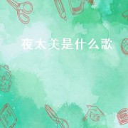 夜太美是什么歌