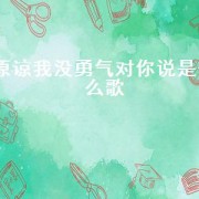 原谅我没勇气对你说是什么歌