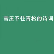雪压不住青松的诗词