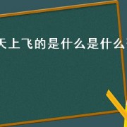 天上飞的是什么是什么歌（天上飞的是什么歌的歌词）