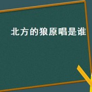 北方的狼原唱是谁