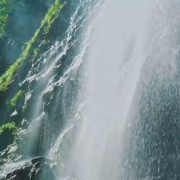 关于欲字开头的诗词（以欲开头的诗句）